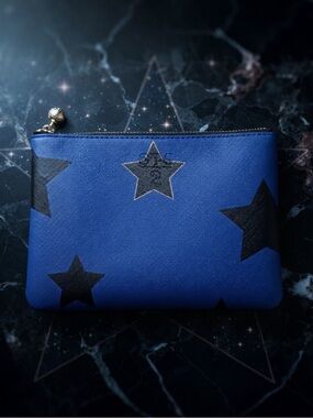 New OTG #2 Navy Stars ⭐️ Washable Pouch